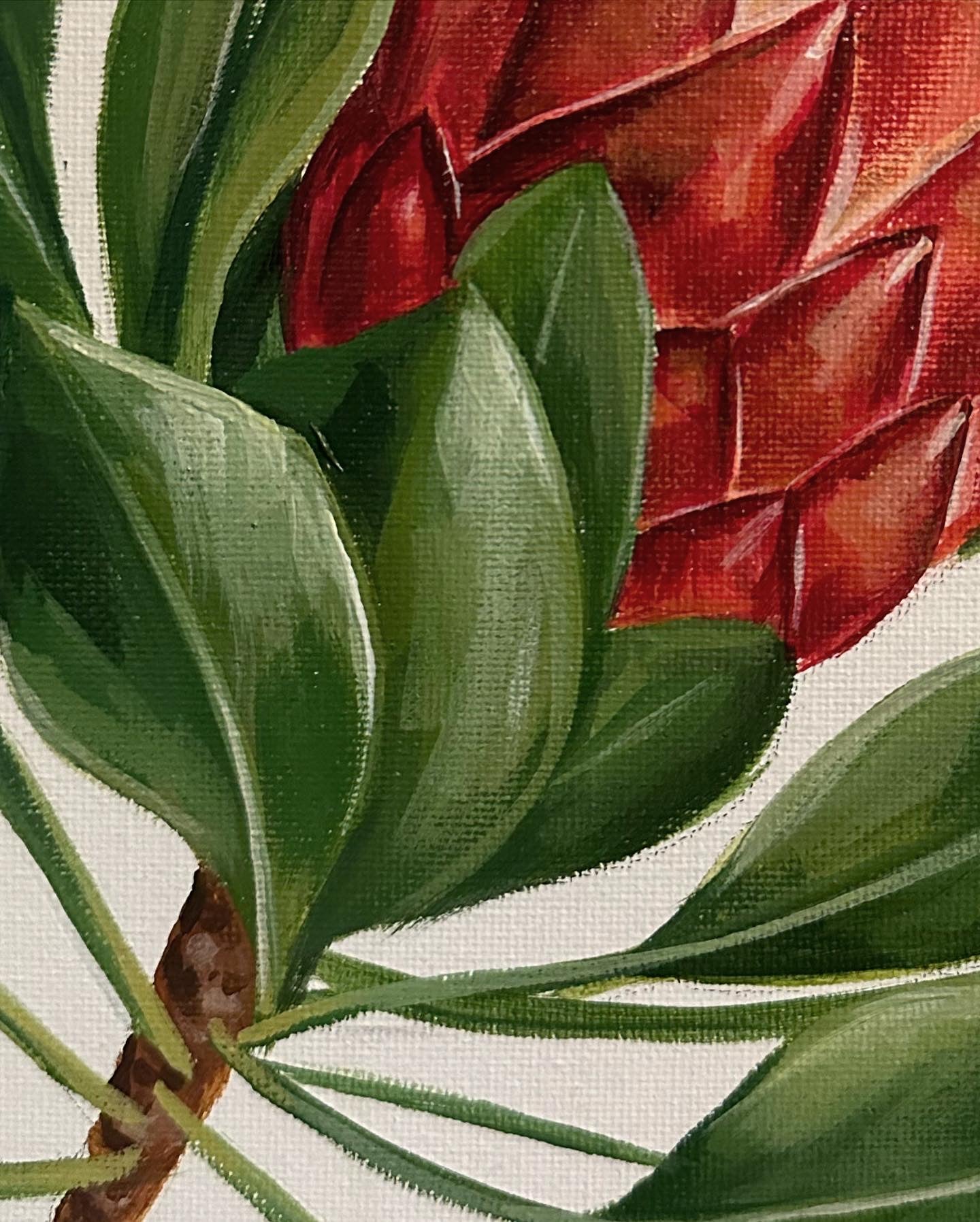 Protea Flower