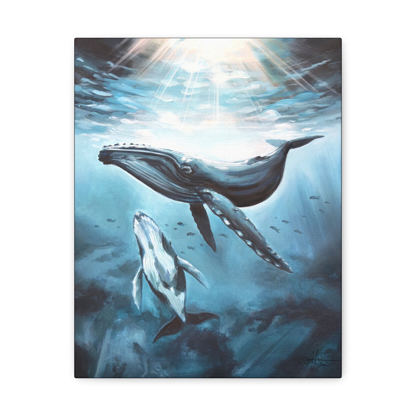 Whale Canvas Gallery Wrap