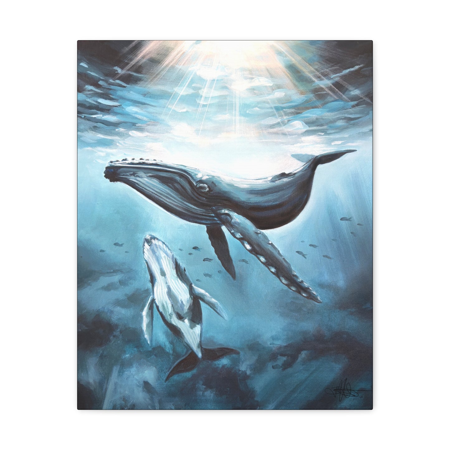 Whale Canvas Gallery Wrap