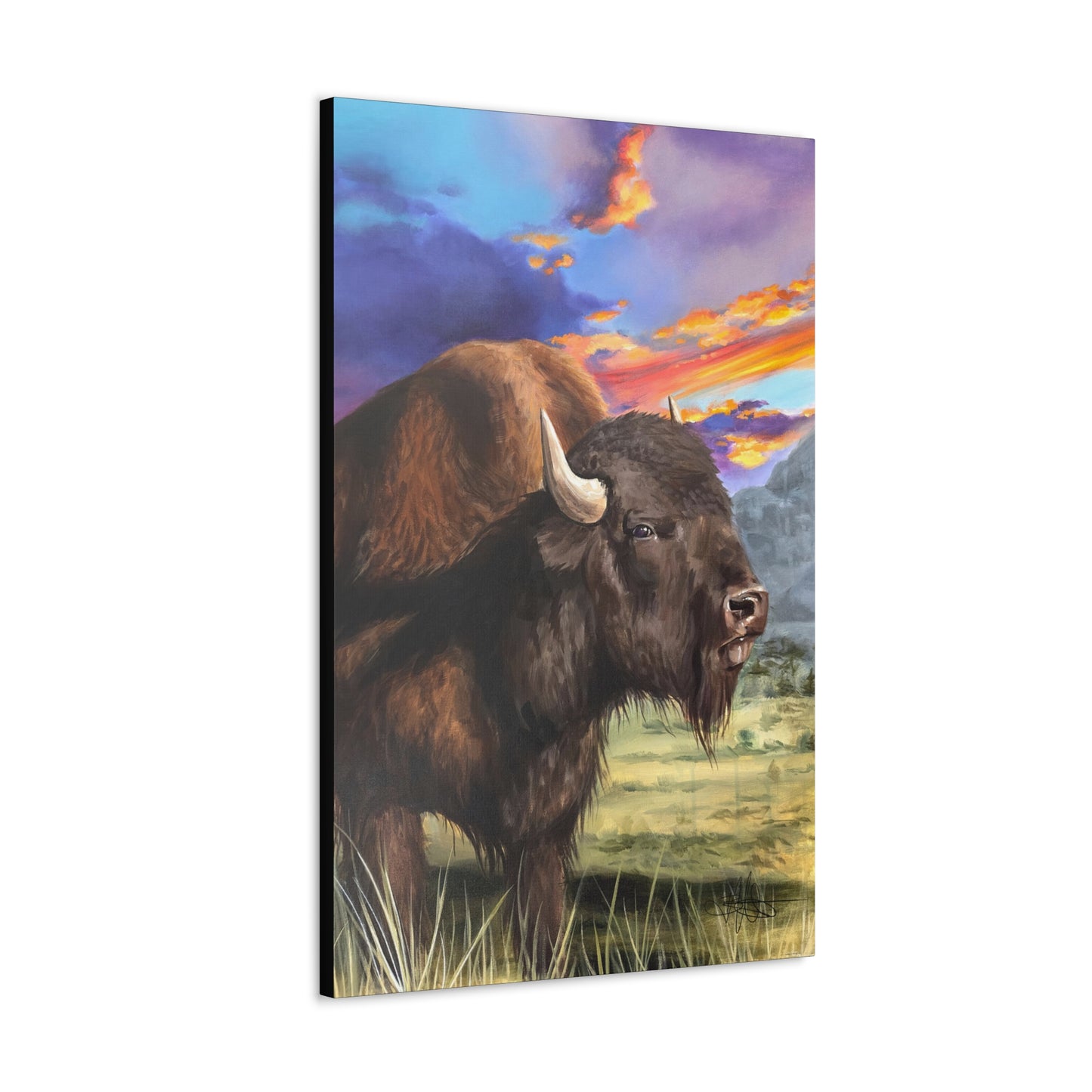 Bison Canvas Gallery Wrap