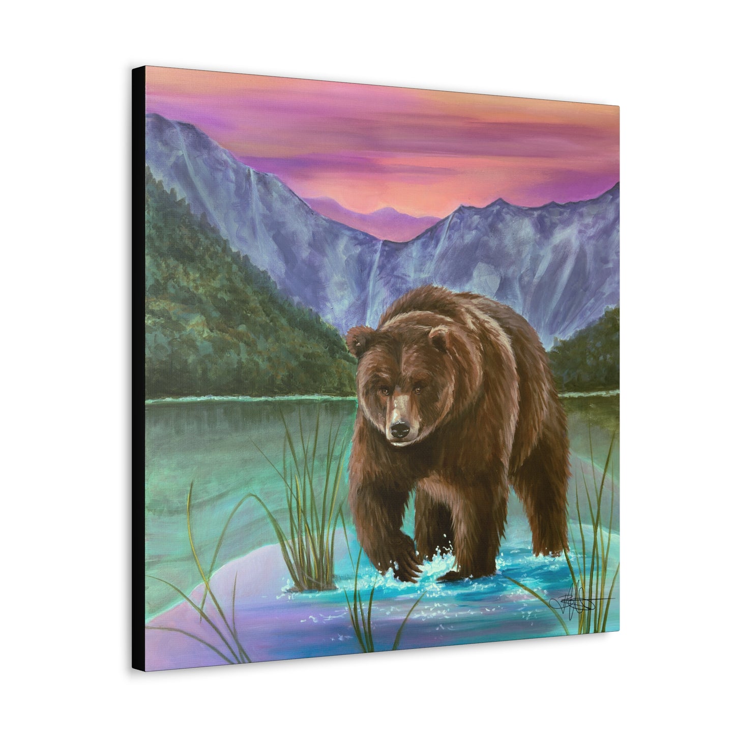 Yellowstone Bear Canvas Gallery Wrap