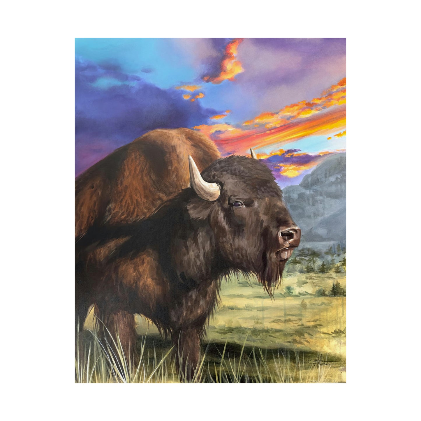 Bison Matte Poster