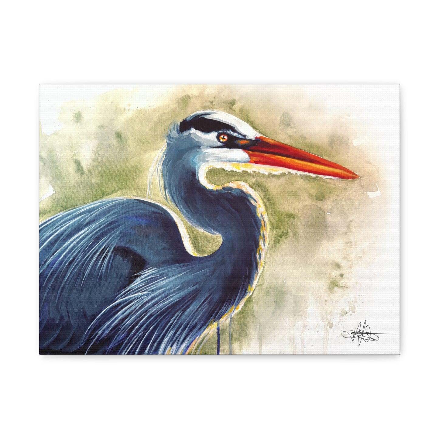 Blue Heron Canvas Gallery Wrap