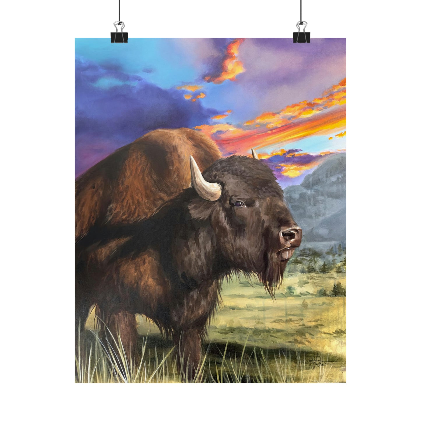 Bison Matte Poster