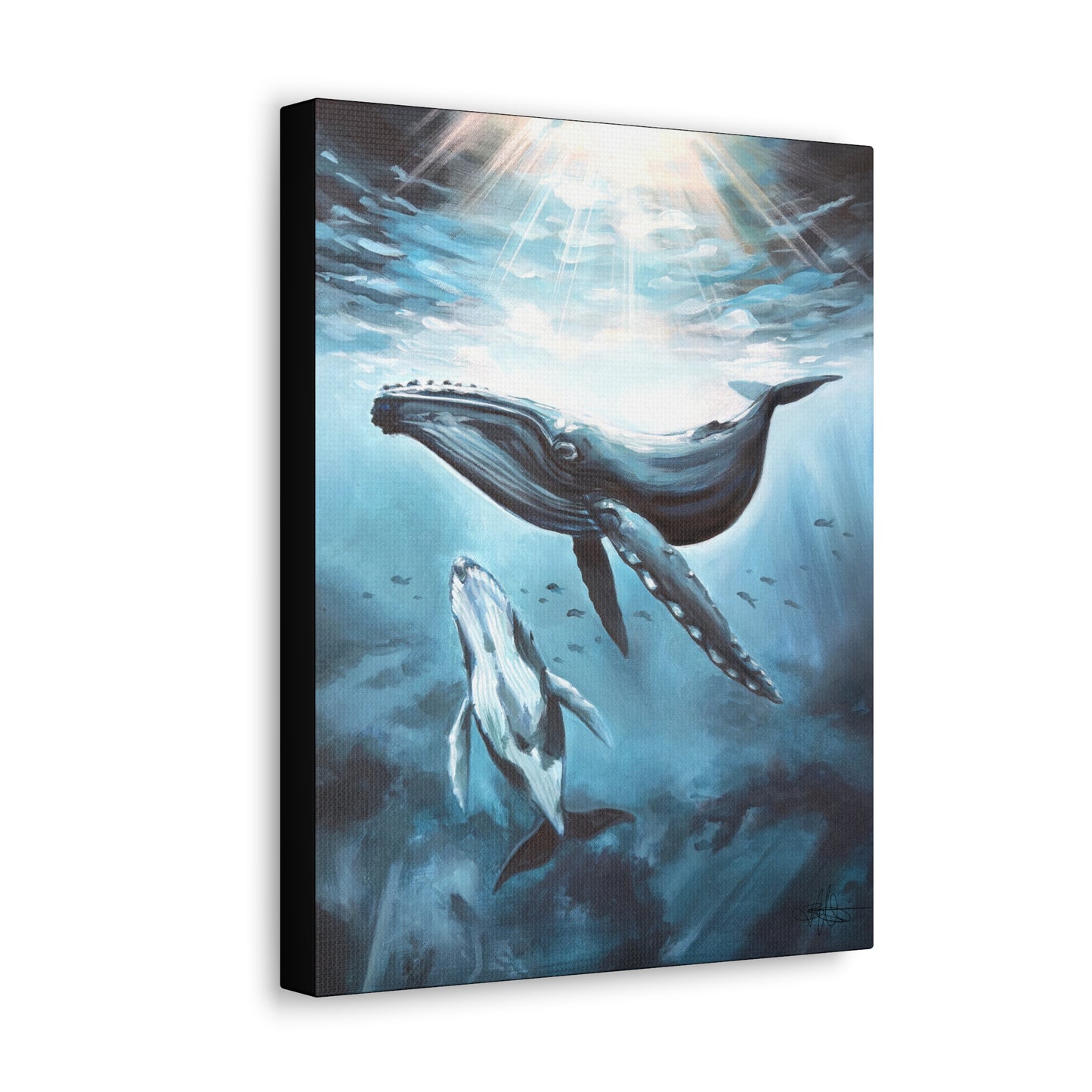 Whale Canvas Gallery Wrap