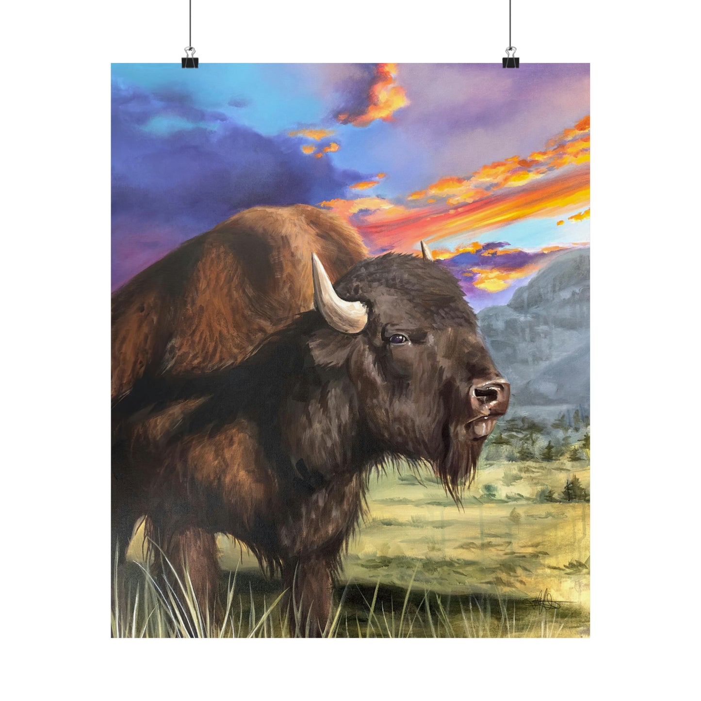 Bison Matte Poster