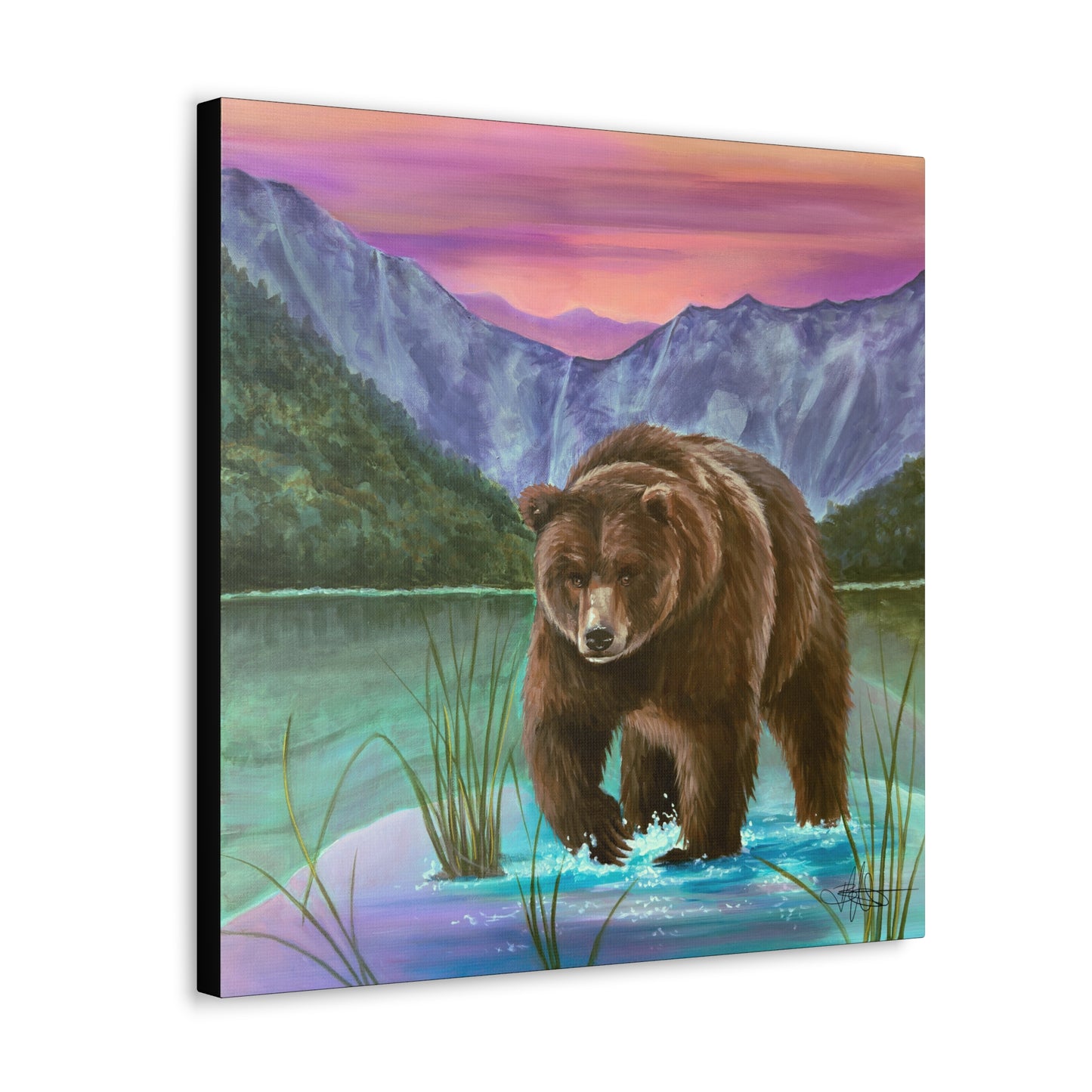 Yellowstone Bear Canvas Gallery Wrap