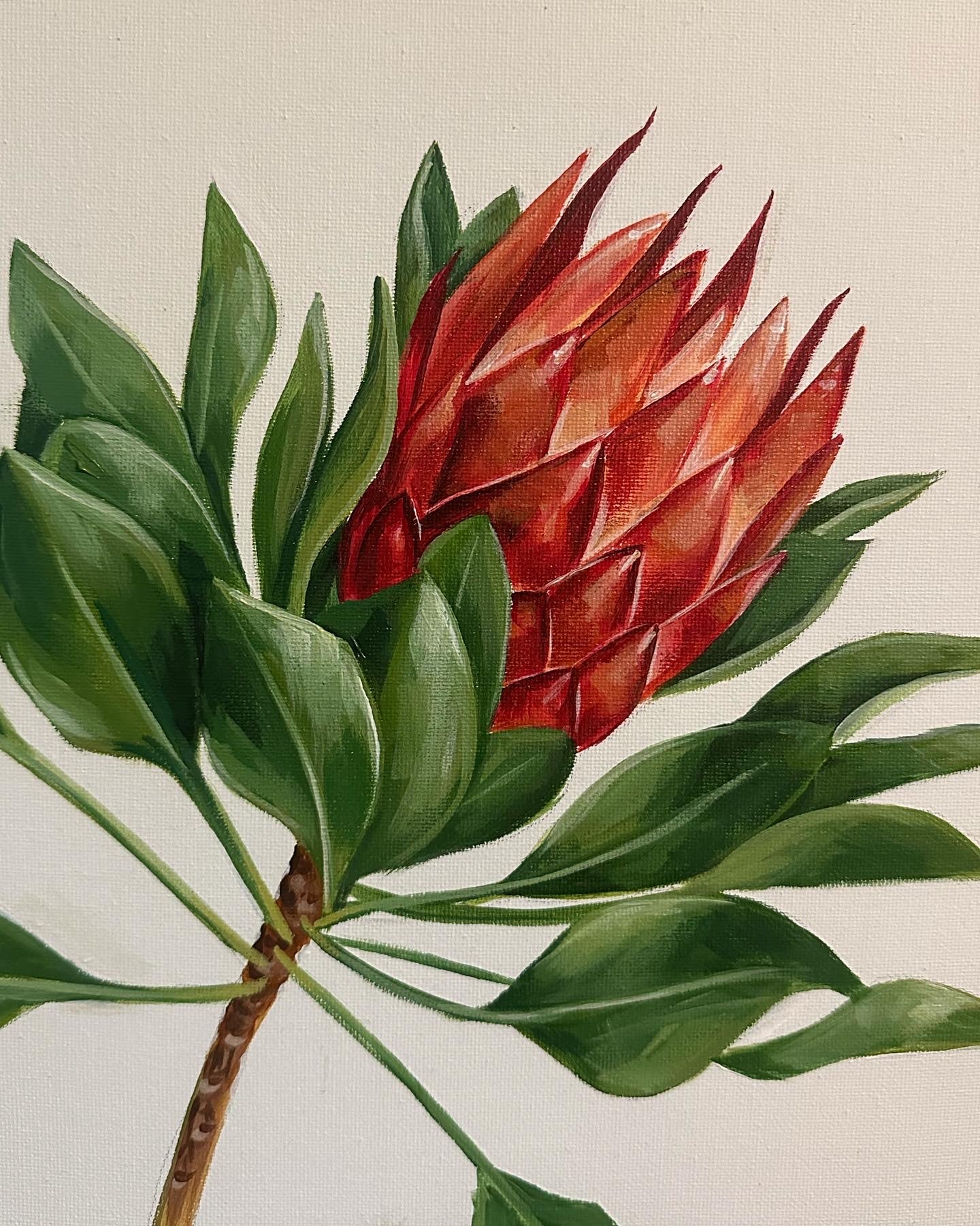 Protea Flower
