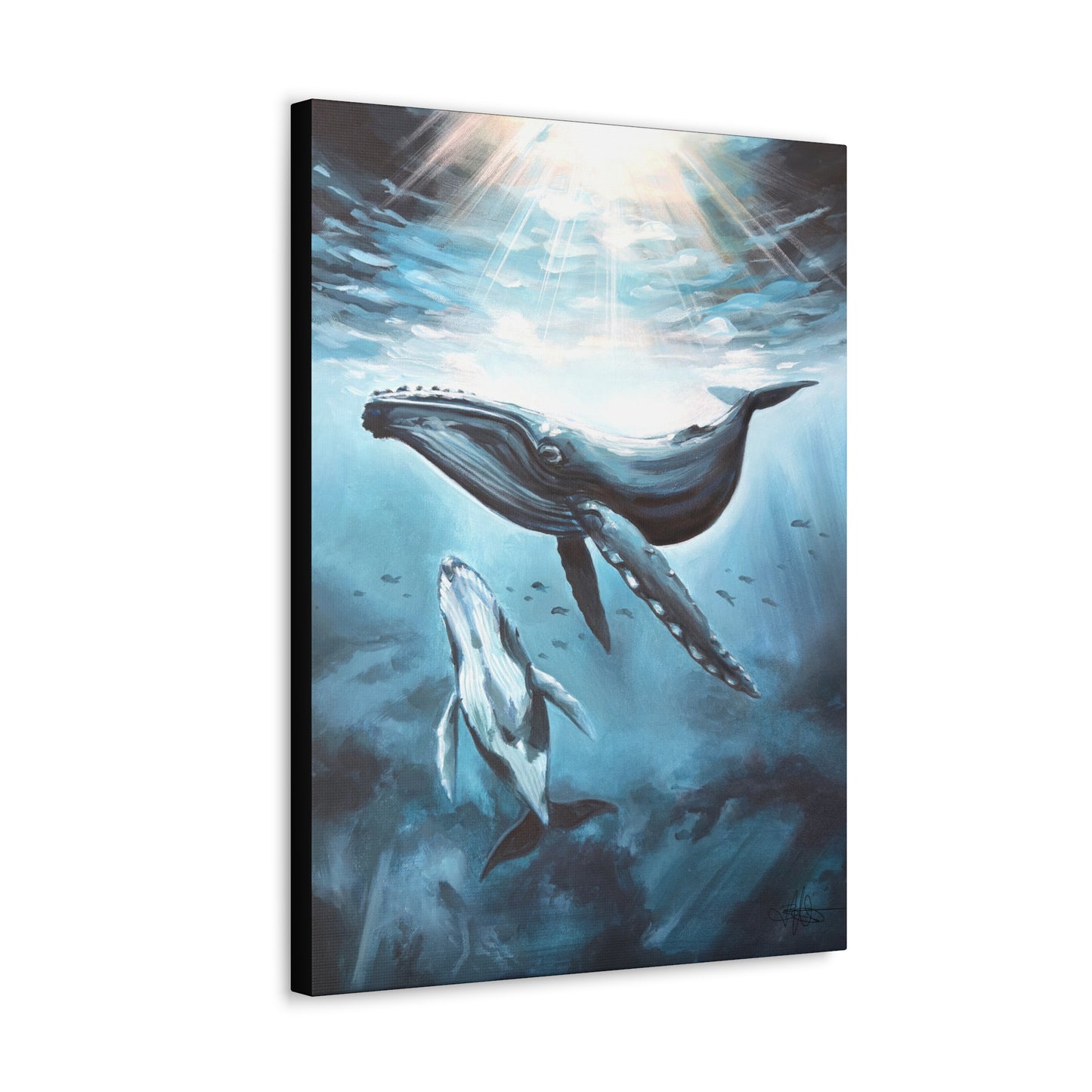 Whale Canvas Gallery Wrap