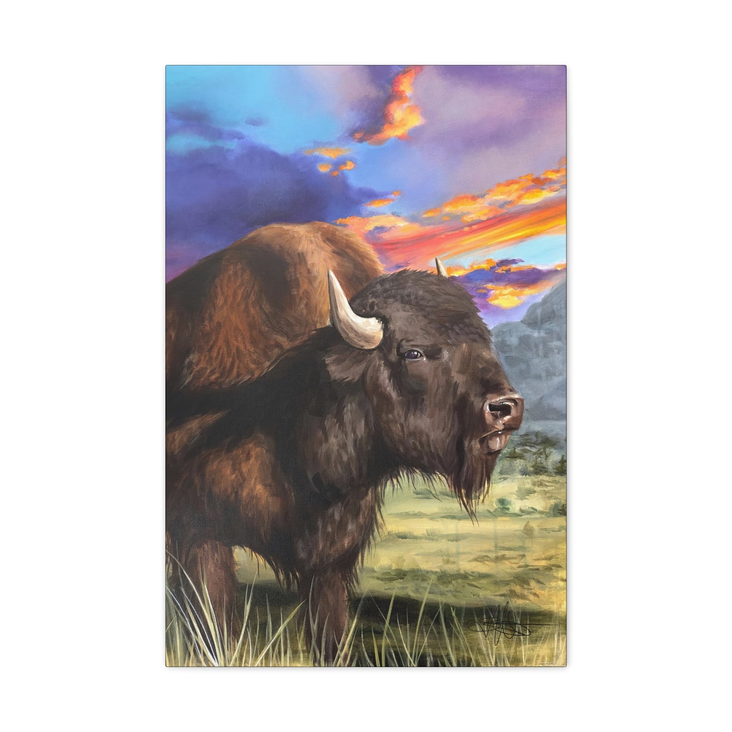 Bison Canvas Gallery Wrap