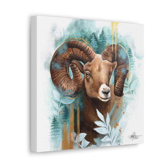 Big Horn Sheep Canvas Gallery Wrap