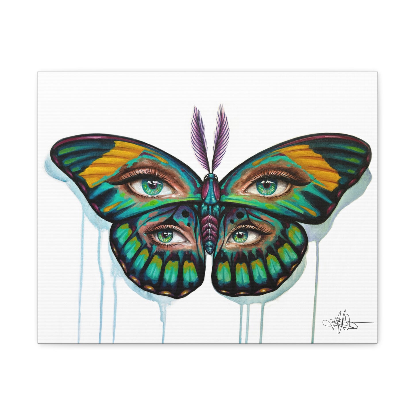 Moth Trip Canvas Gallery Wrap