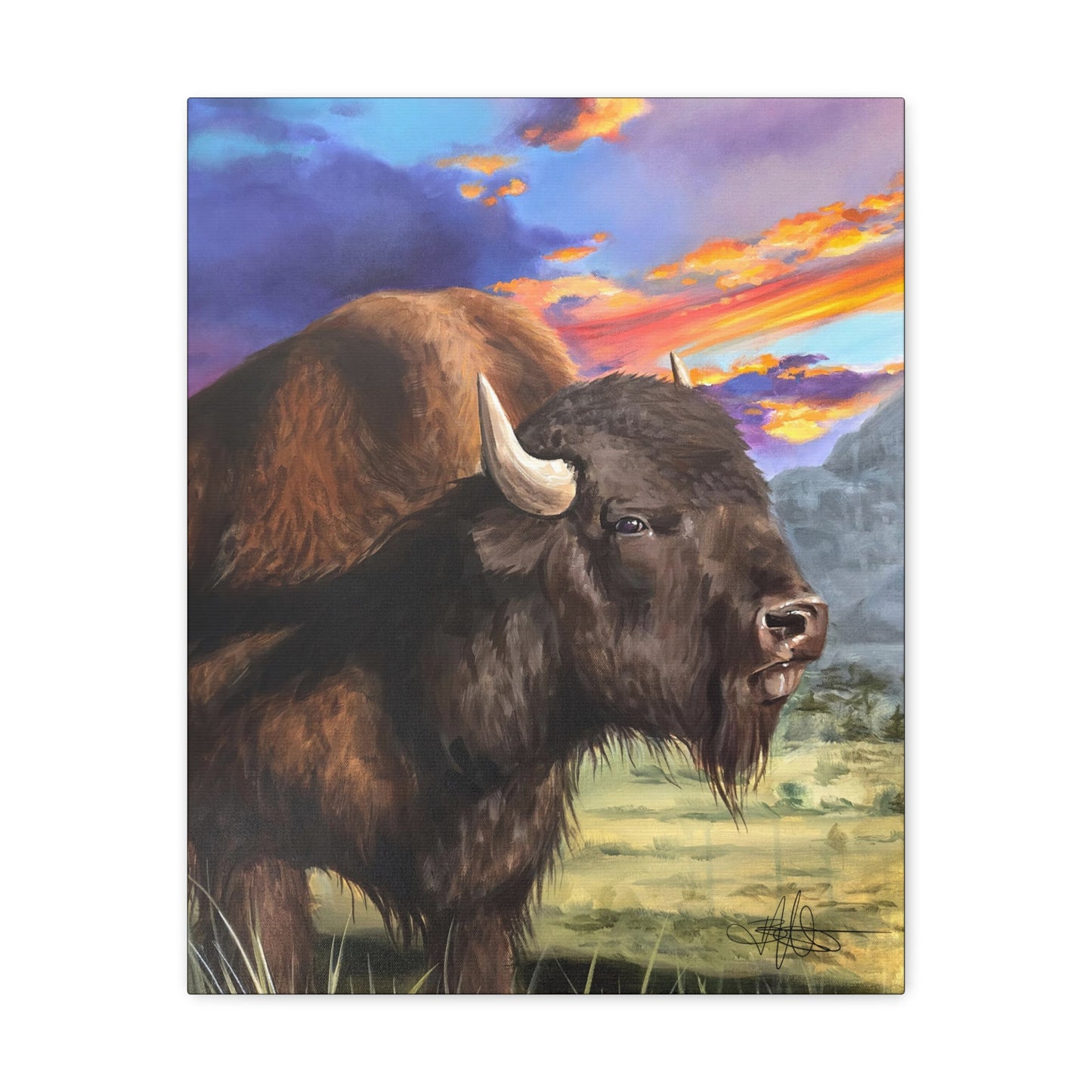 Bison Canvas Gallery Wrap