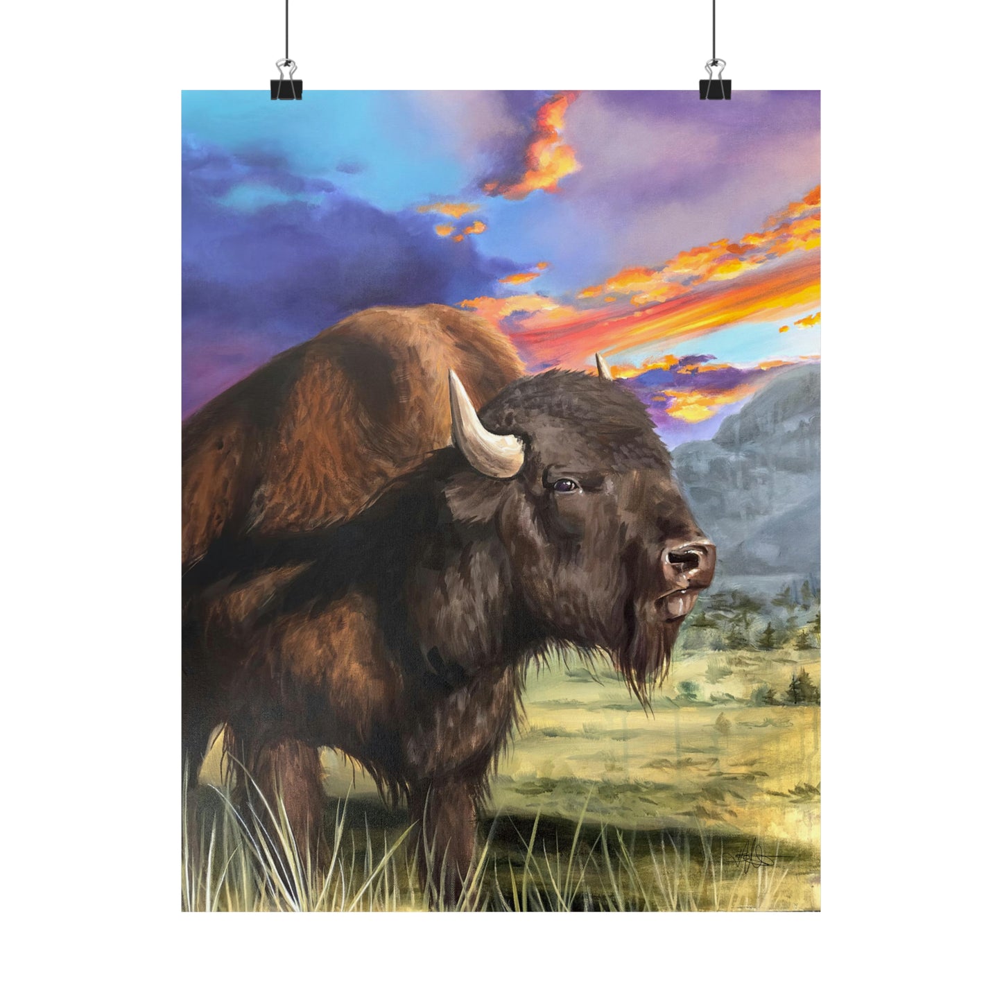 Bison Matte Poster
