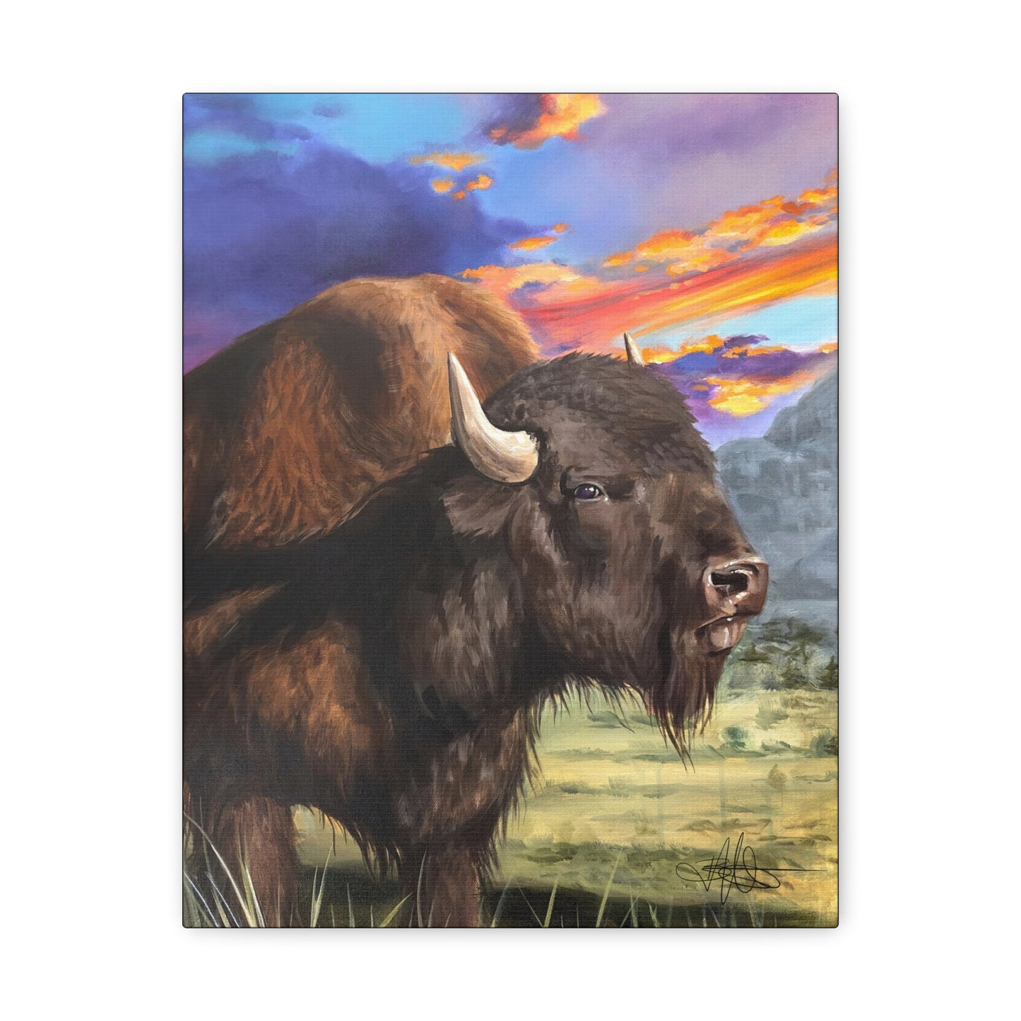 Bison Canvas Gallery Wrap