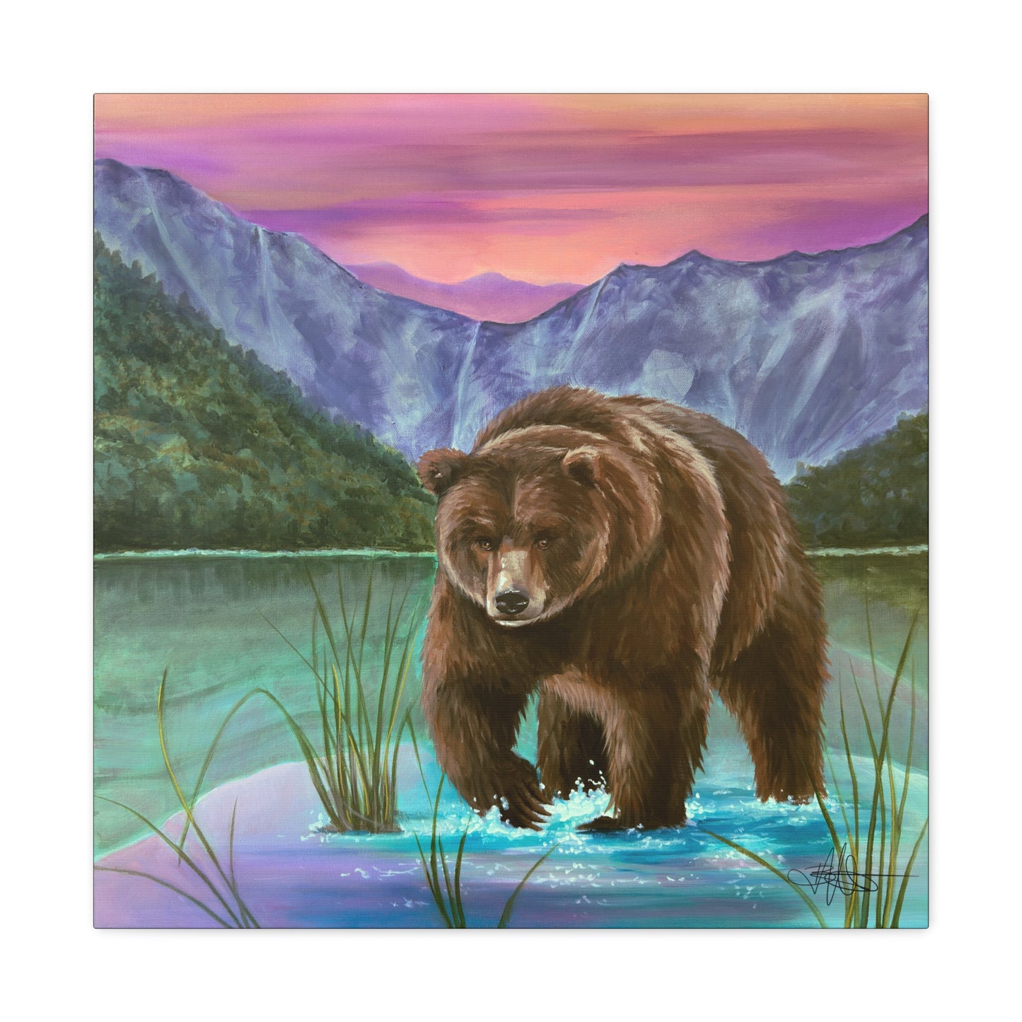 Yellowstone Bear Canvas Gallery Wrap