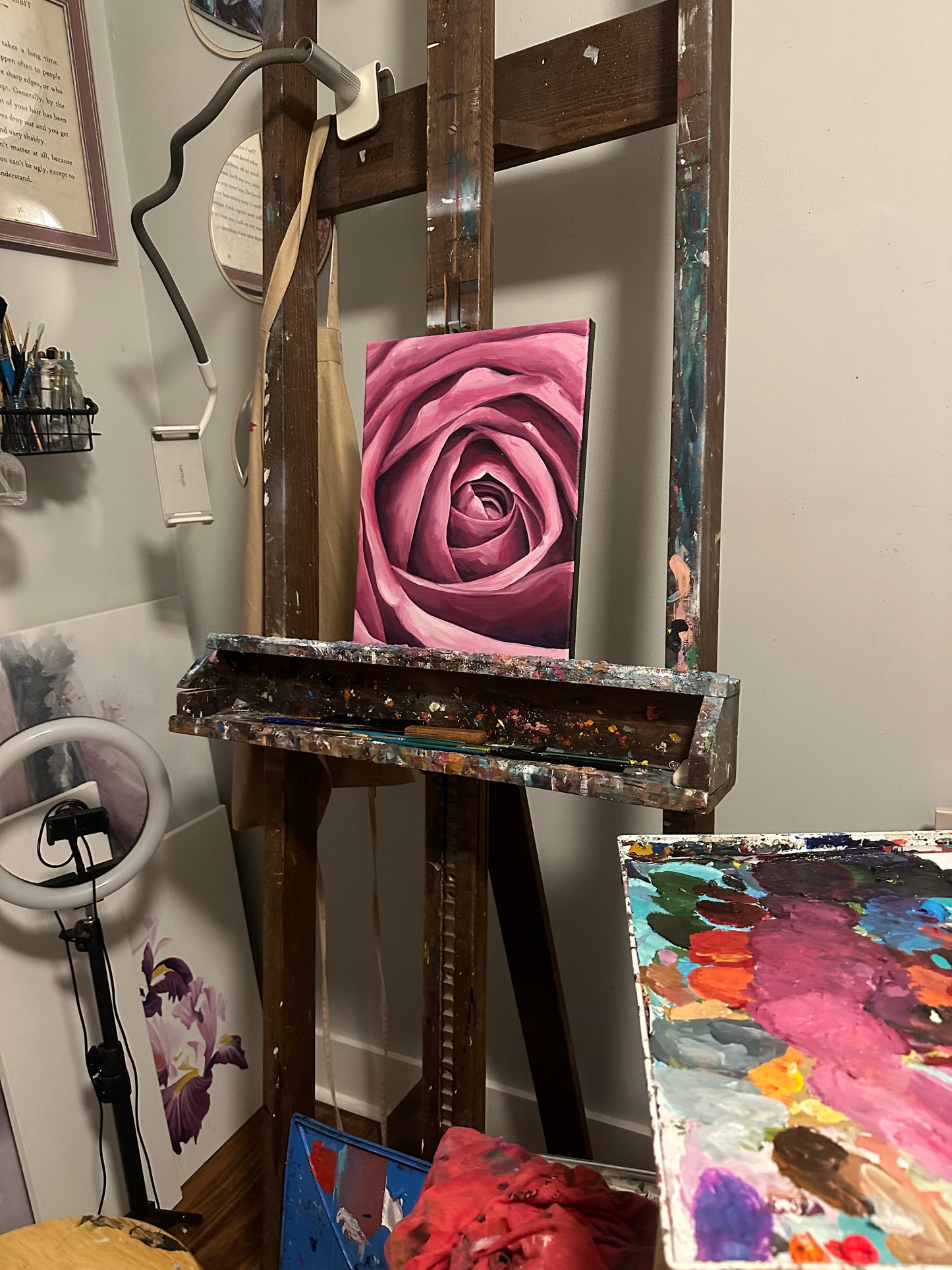 Rose
