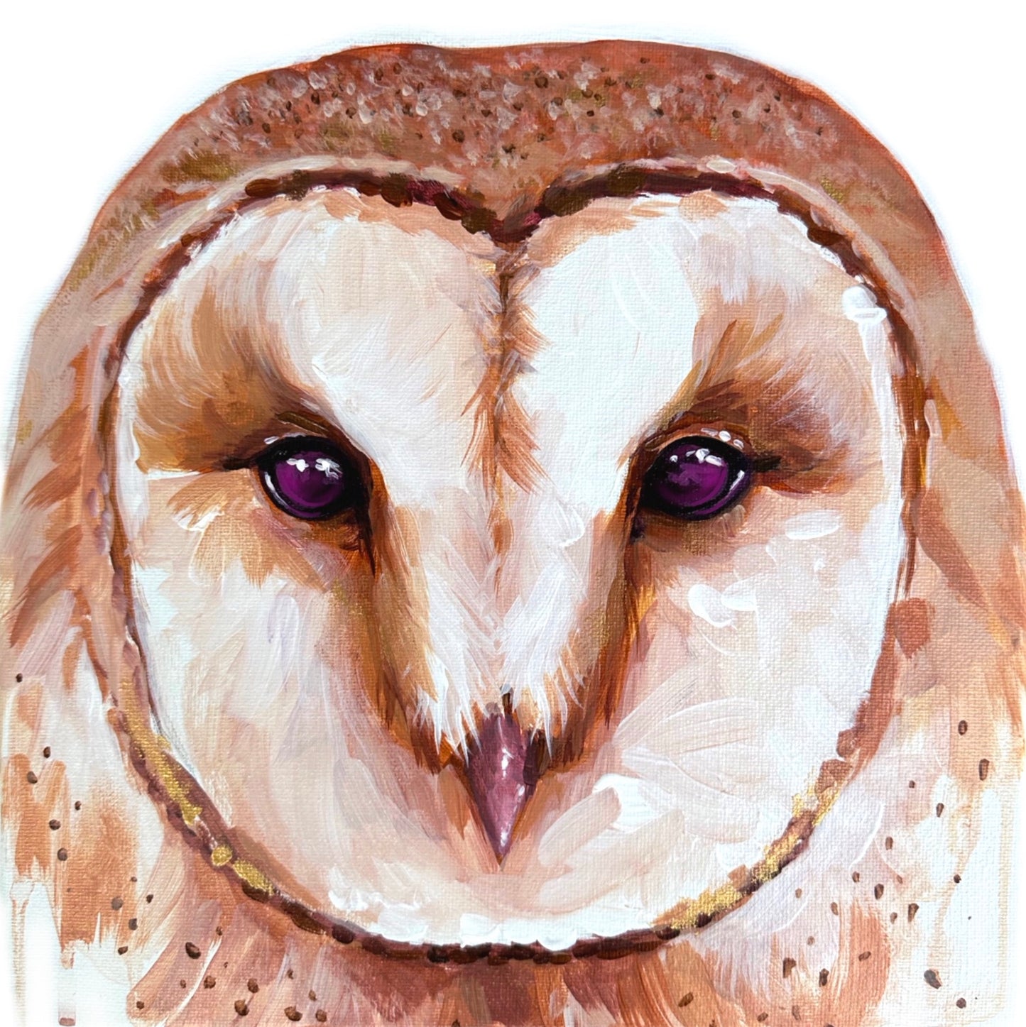 Barn Owl