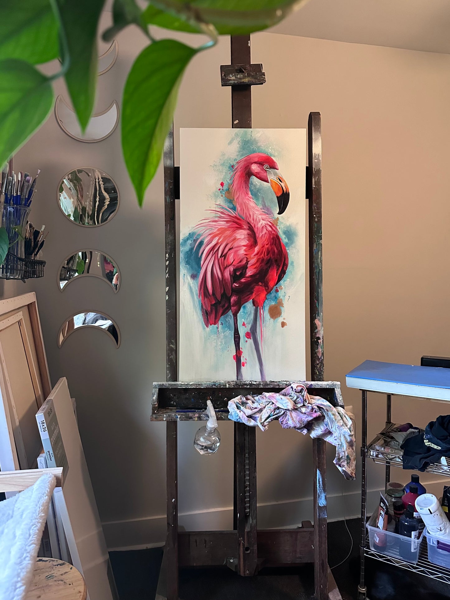 Flamingo