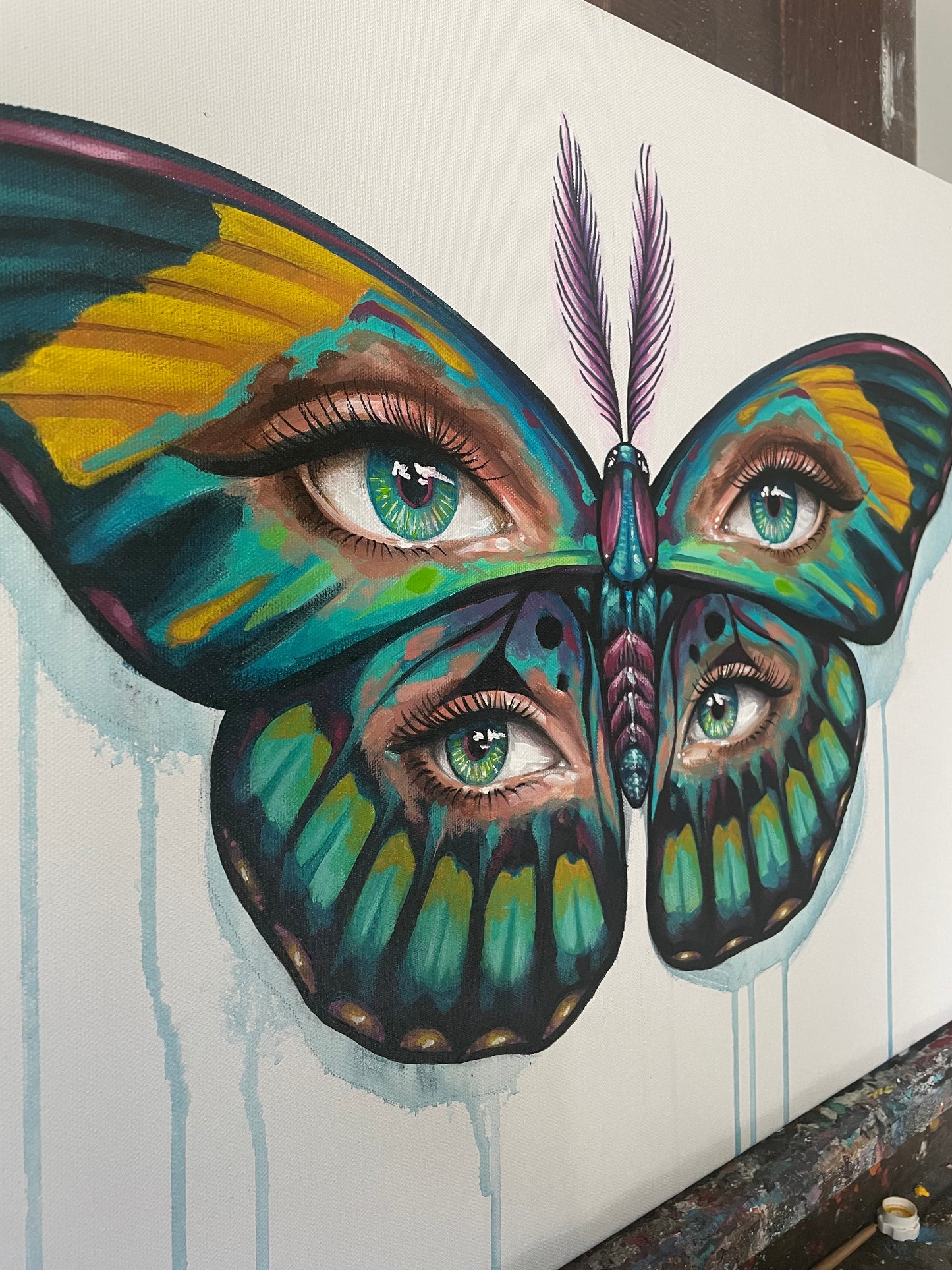 Moth Trip