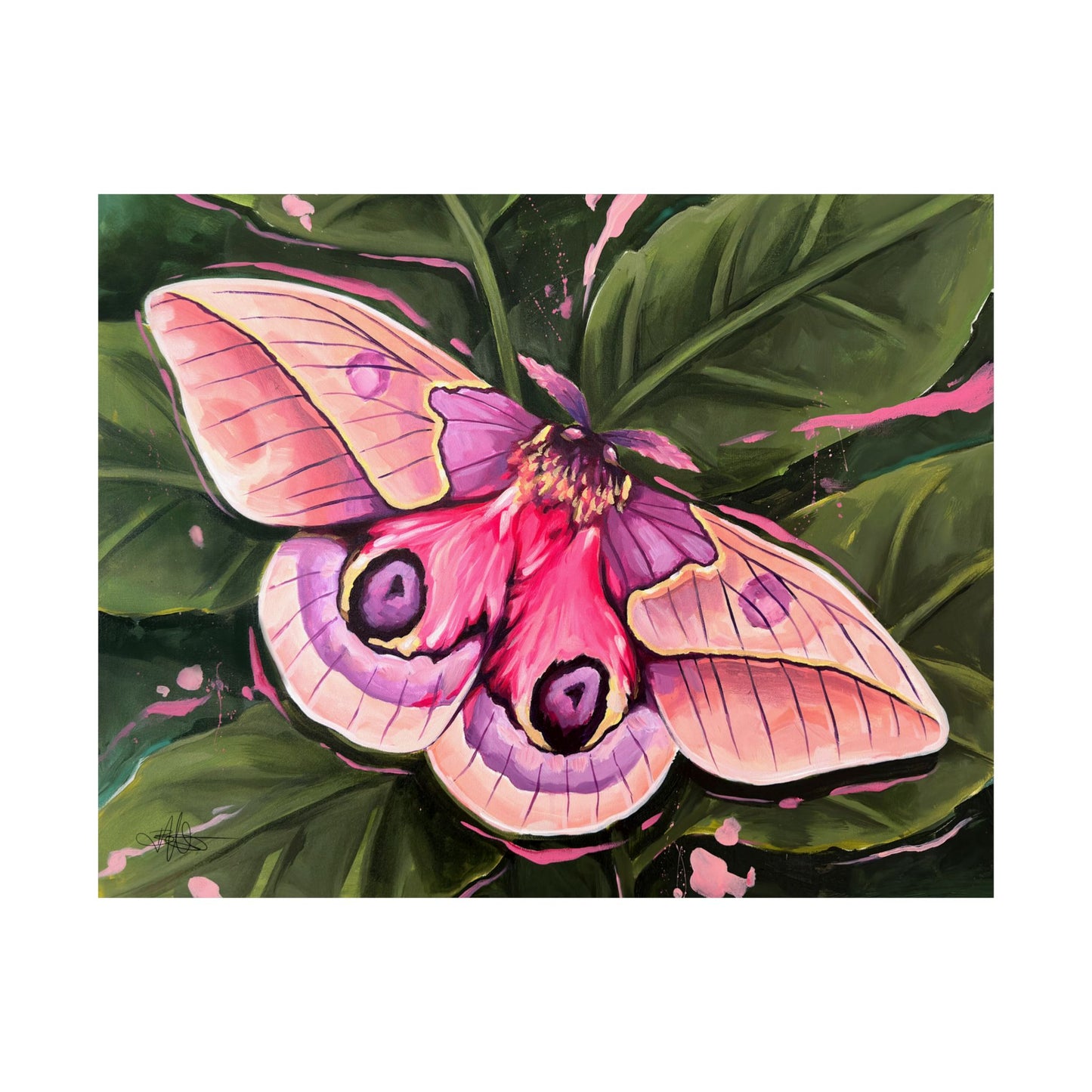 Pink Moth Matte Poster