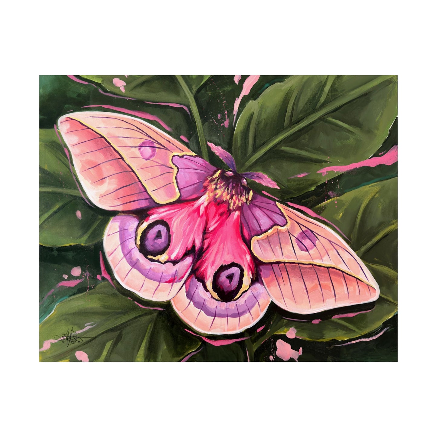 Pink Moth Matte Poster