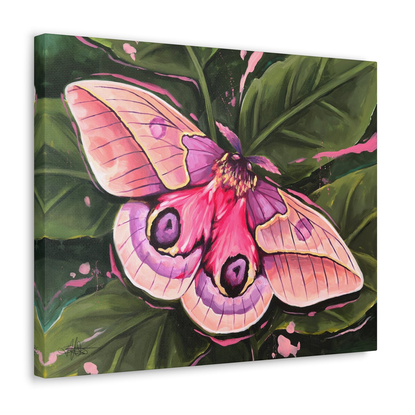 Pink Moth Canvas Gallery Wrap