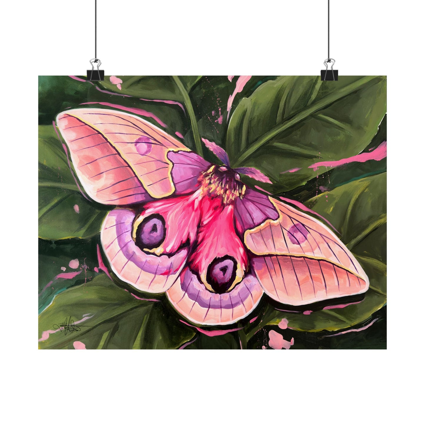 Pink Moth Matte Poster