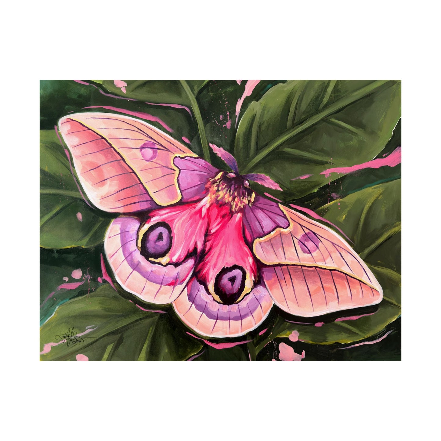 Pink Moth Matte Poster