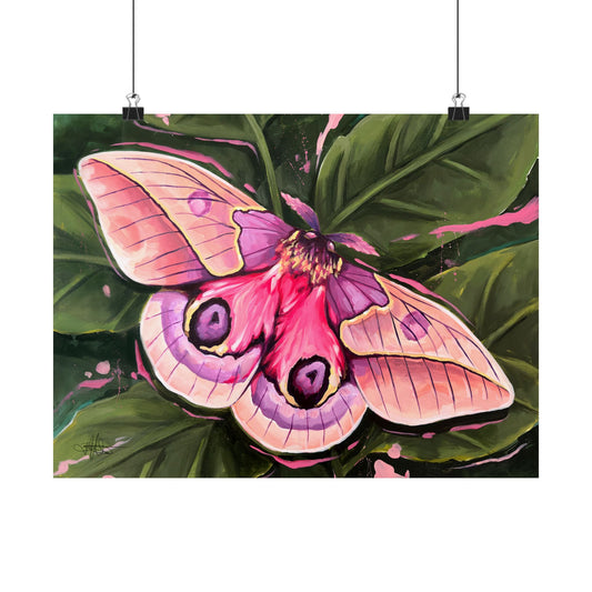 Pink Moth Matte Poster