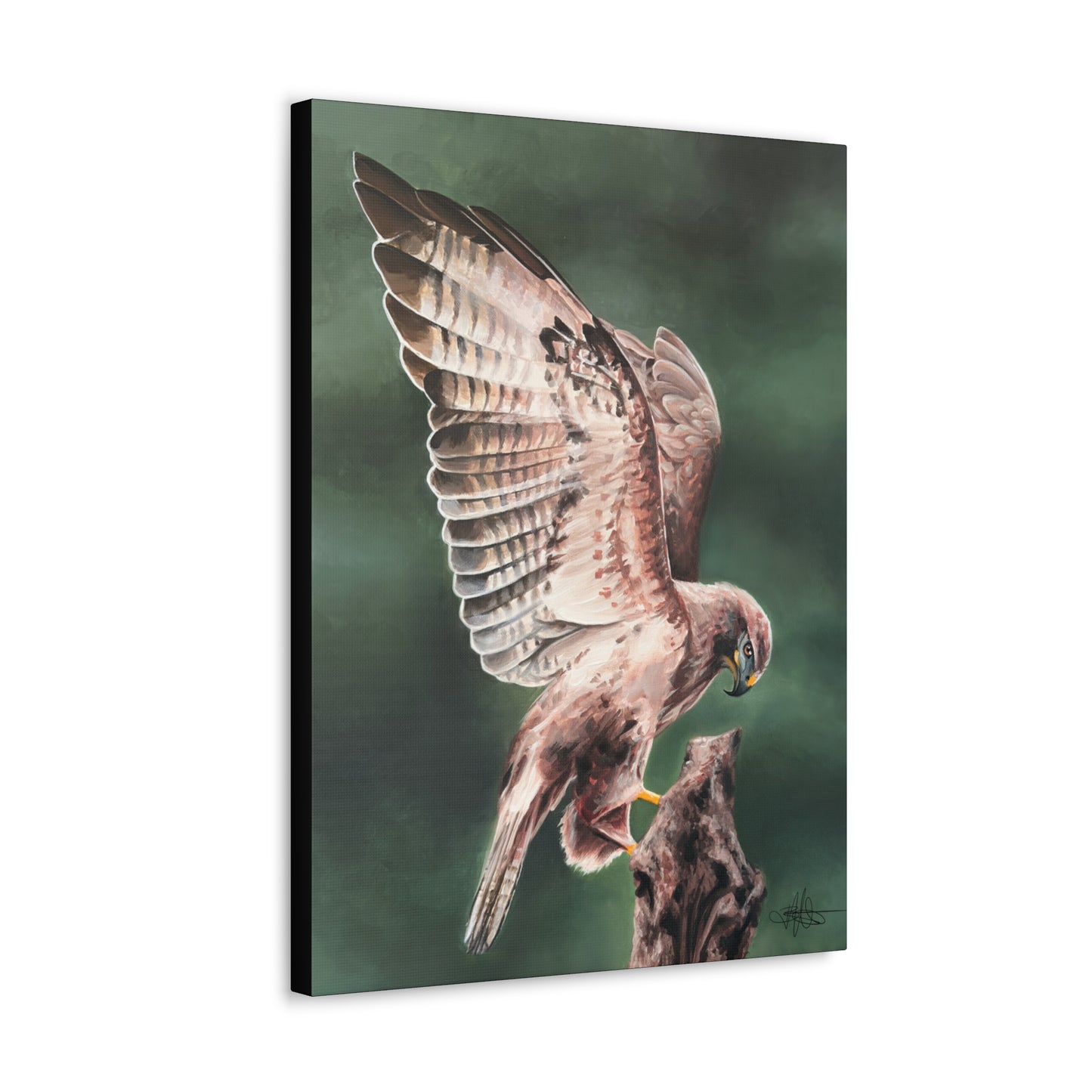 Hawk Canvas Gallery Wrap