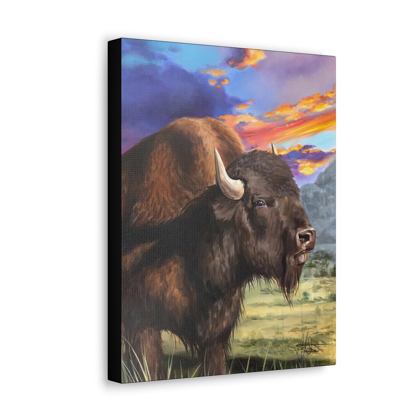 Bison Canvas Gallery Wrap