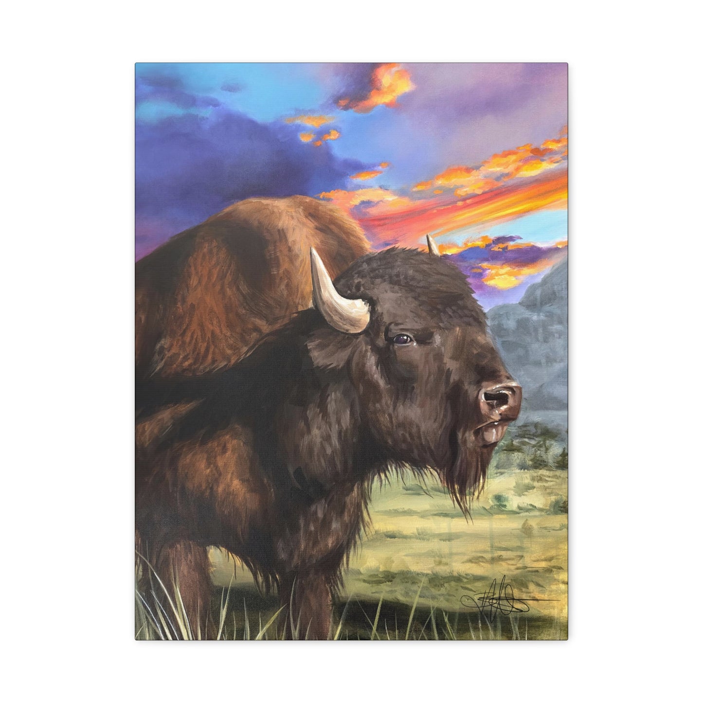 Bison Canvas Gallery Wrap