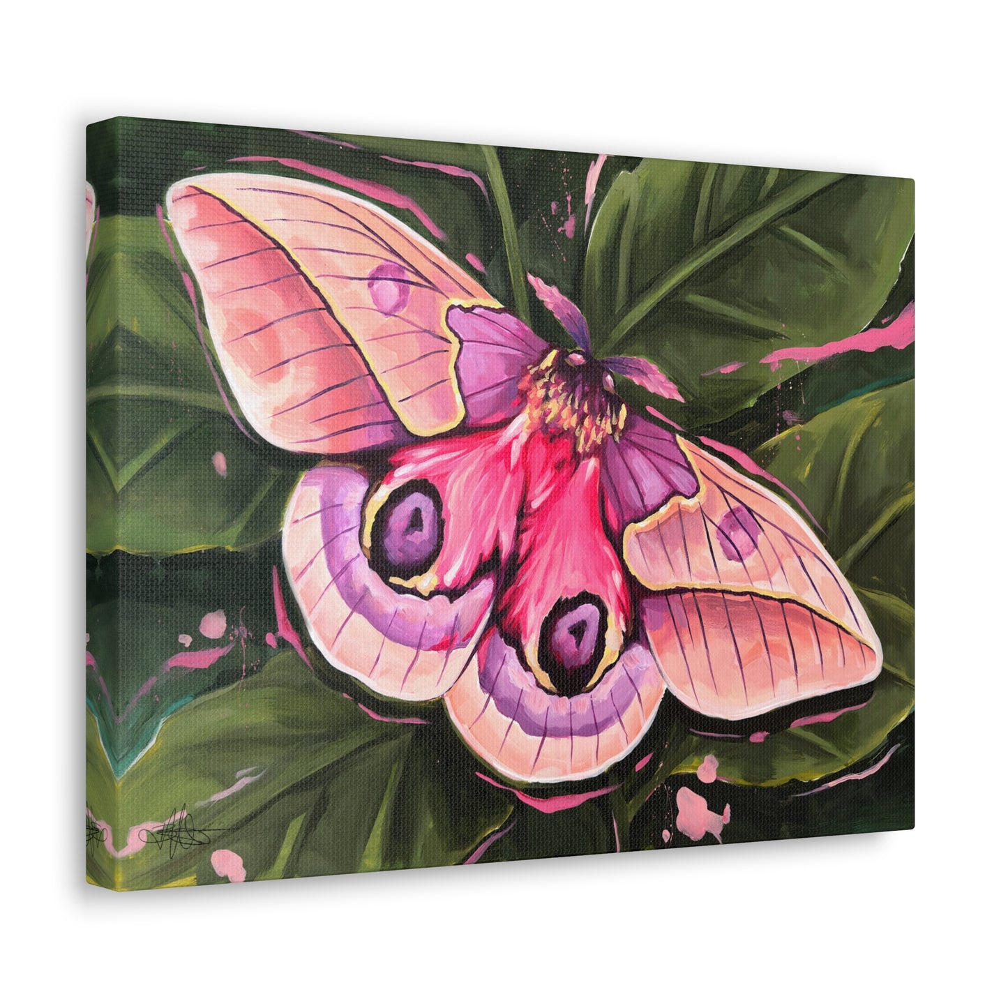 Pink Moth Canvas Gallery Wrap