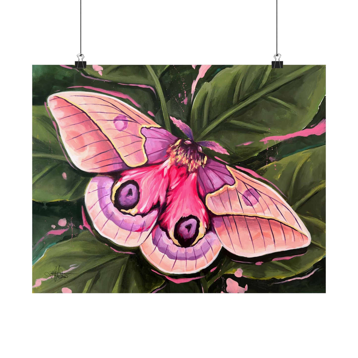 Pink Moth Matte Poster